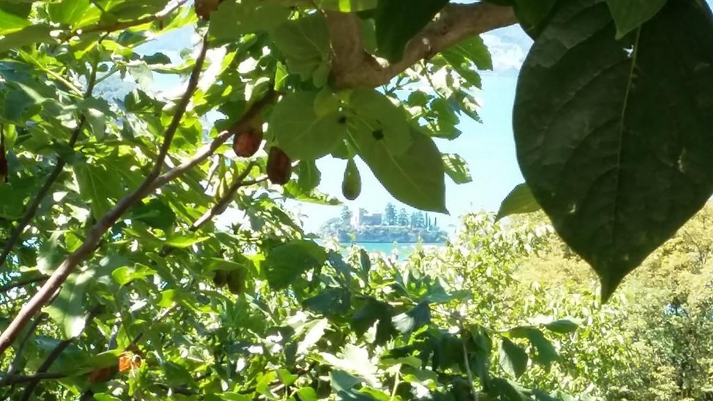Il Pozzo Daire Marone Dış mekan fotoğraf
